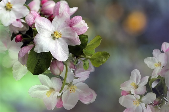 安全手抄报资料