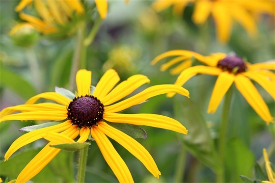 因为痛所以叫青春