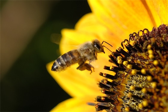 四风对照检查材料