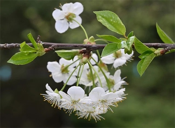 全国文明单位申报材料