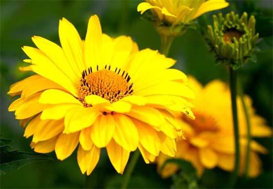 爸爸带我做作业