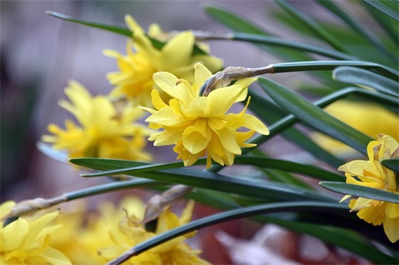 无线局域网论文