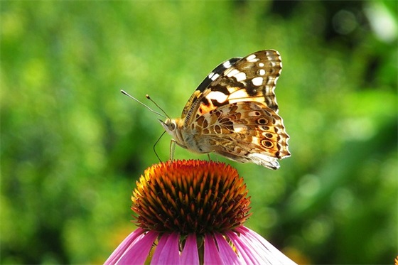 股票投资报告范文精选