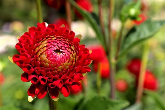 环保局实习报告