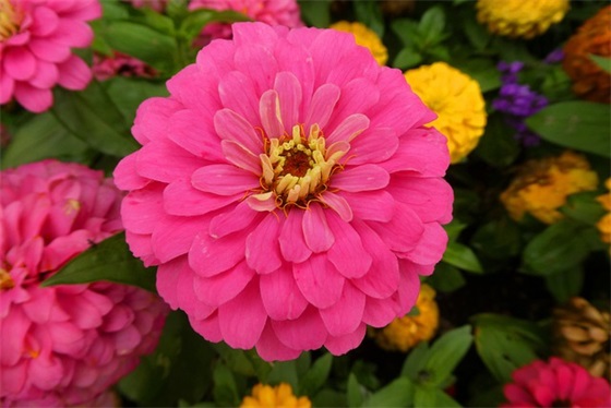 经济法案例分析报告