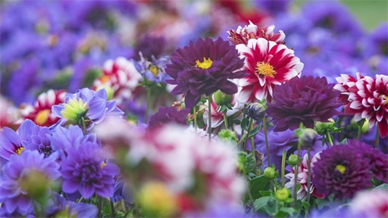 我和小姨的故事