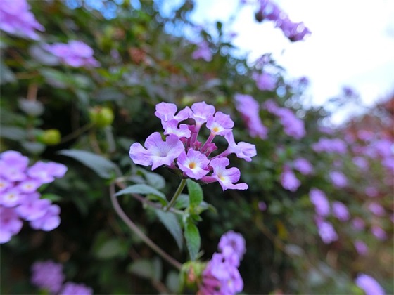 生产成本控制论文
