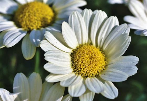 大数据互联网论文