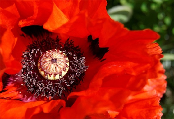 计生汇报材料范文精选