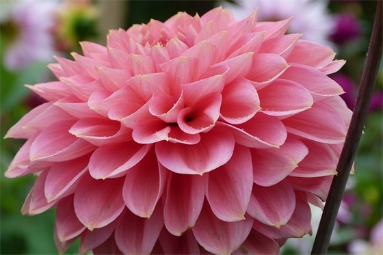 档案馆做好年鉴工作计划