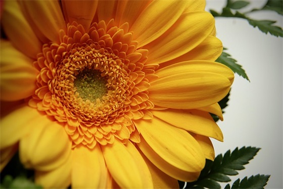 公司省级职称论文