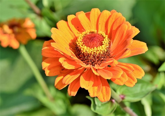 不耻下问的故事