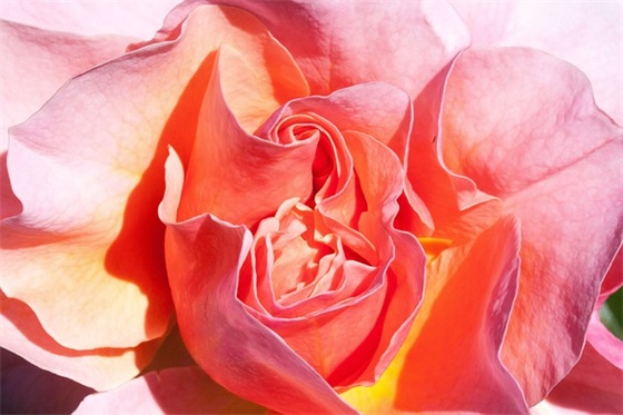 效能建设心得体会