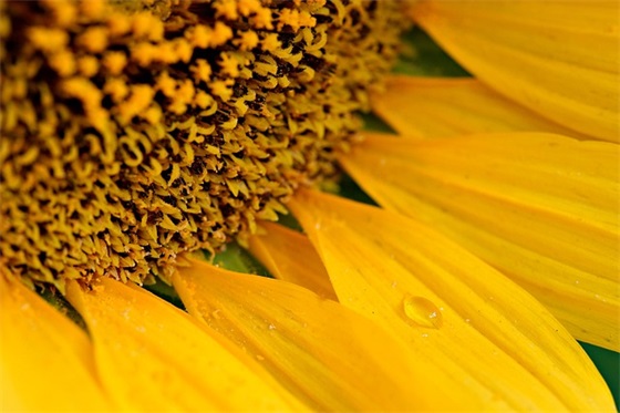 榜样就在我身边