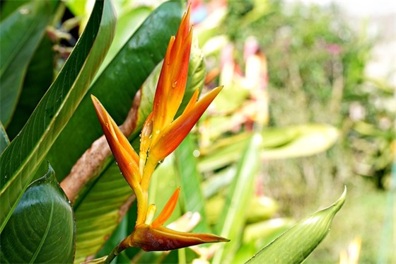 九年级英语教学论文