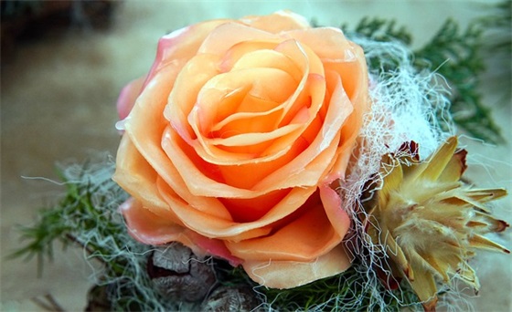 资本运营论文范文精选