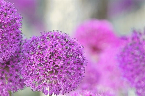 老板给员工新年祝福语48句