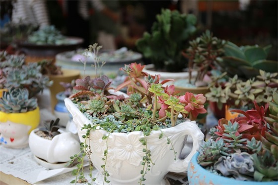 哥们新婚祝福语创意51句