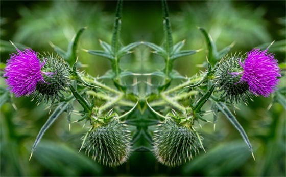 八字元旦祝福语93句