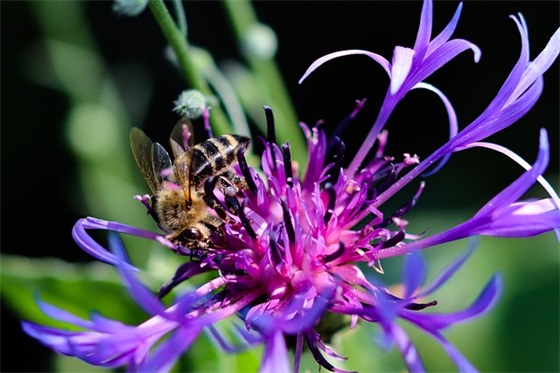 祝女儿高考祝福语