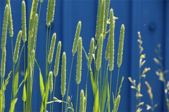 2025护士节温馨快乐祝福寄语