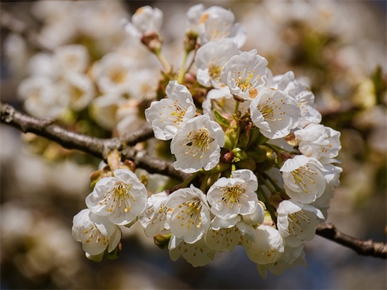 闺蜜相聚的祝福语51句