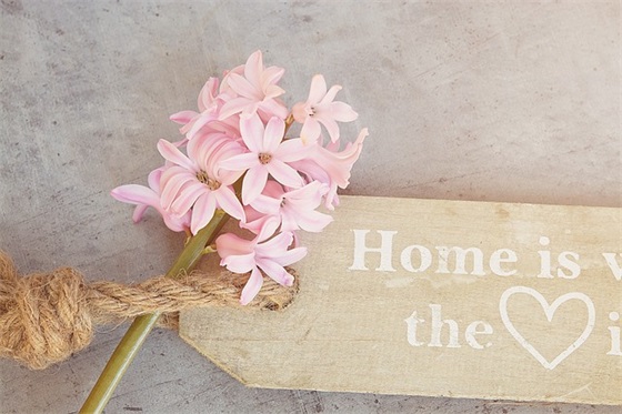 牛年春节祝福语句子文案 牛年春节祝福语2025年