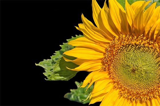 2025劳动节朋友圈创意祝福语 跨年文案祝福语