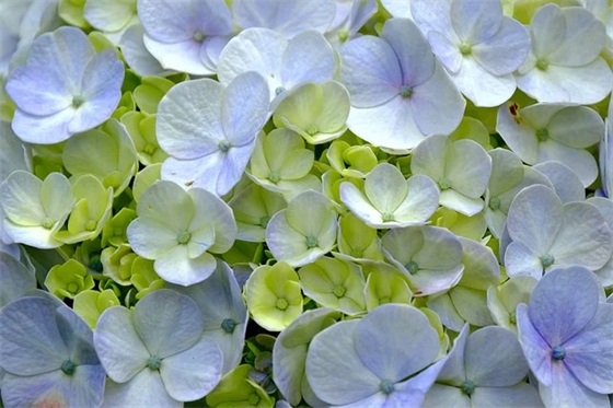 结婚朋友祝福语52句