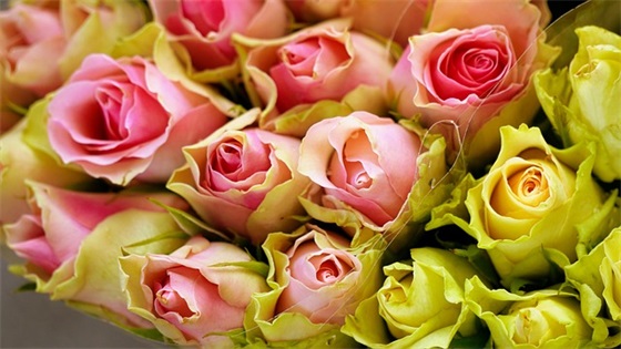 2025年重阳节祝福语老人简短