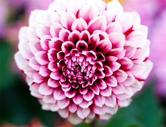 六一小朋友祝福语48句