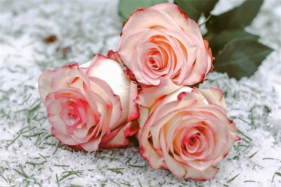 商场60周年祝福语 商场周年祝福语