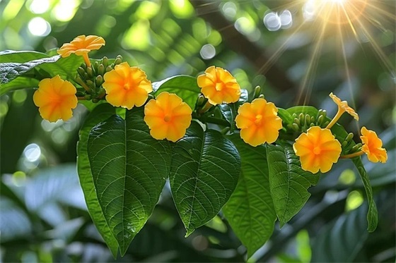 新年祝福短信简短的句子(新年祝福语大全简短句子)