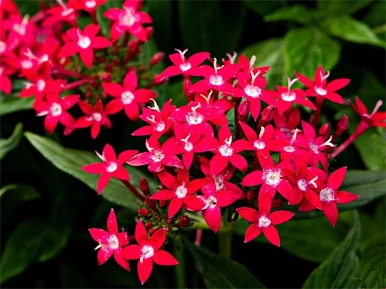 恶搞生日快乐祝福语48句