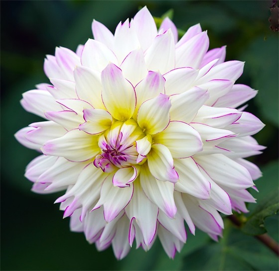 祝福朋友的话语 暖心 祝福朋友的话经典语录