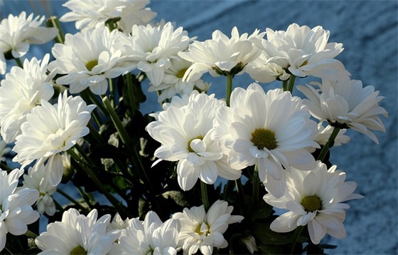 2025立冬朋友圈祝福语 立冬问候祝福语