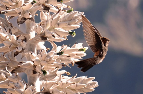 为考生加油打气的暖心祝福语