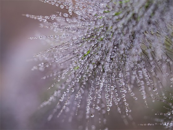 小朋友生日快乐文案(小朋友生日快乐的祝福文案)