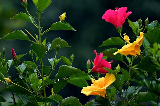 2025儿童节祝福语大全简单文案(儿童节祝福语大全)