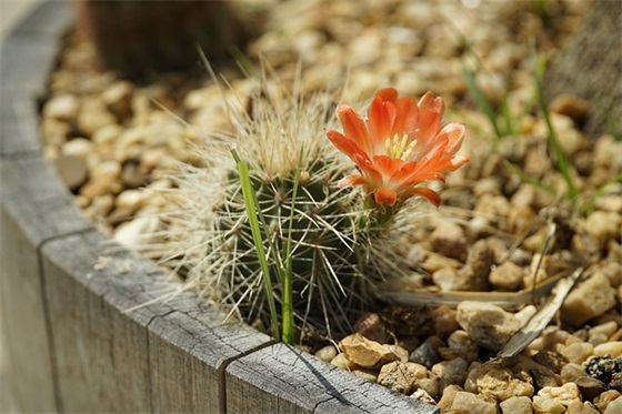 给研究生毕业祝福语50句