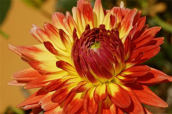 古风女生五字网名