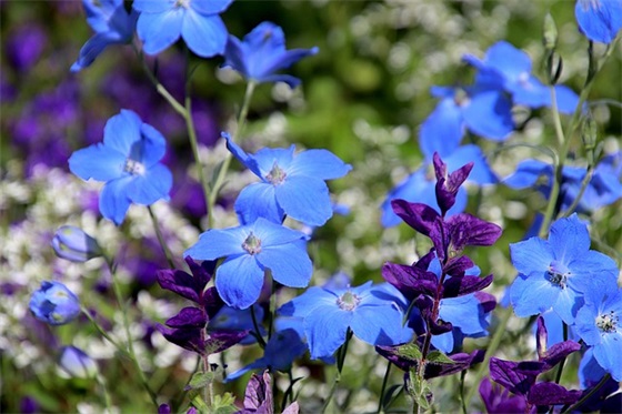 婷婷网名女生简单气质