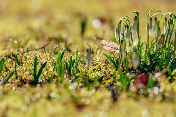 简单的女生网名