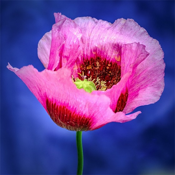 微信个性网名带小脚丫