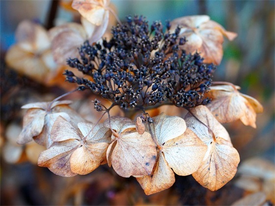 怎么弄搞怪qq网名