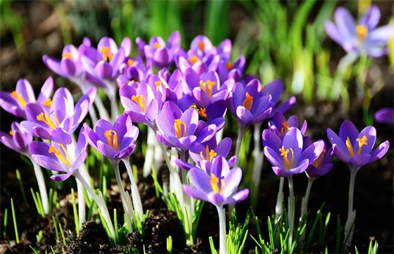 可爱阳光的网名女生