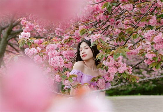 女生网名公主图片可爱