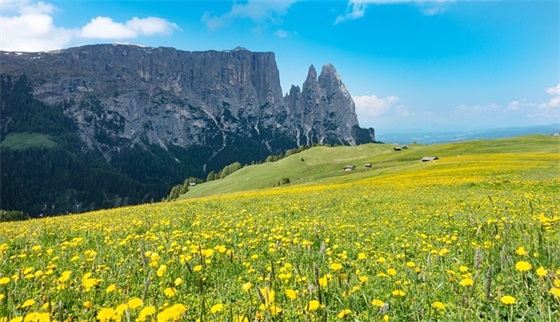 找个伤感个性的网名