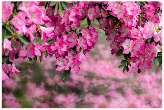 游戏网名女生简单霸气