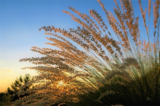 数值仿真范例6篇